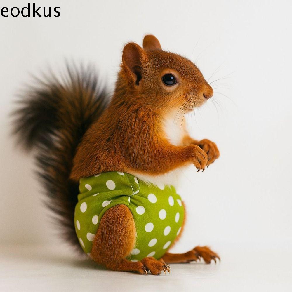 EODKUS Thoáng khí Tã cho sóc Thấm hút Có thể điều chỉnh Quần tập luyện cho thú cưng Quần lót Groundhog Có thể tái sử dụng Tã cho thú cưng nhỏ Dành cho chuột lang, sóc