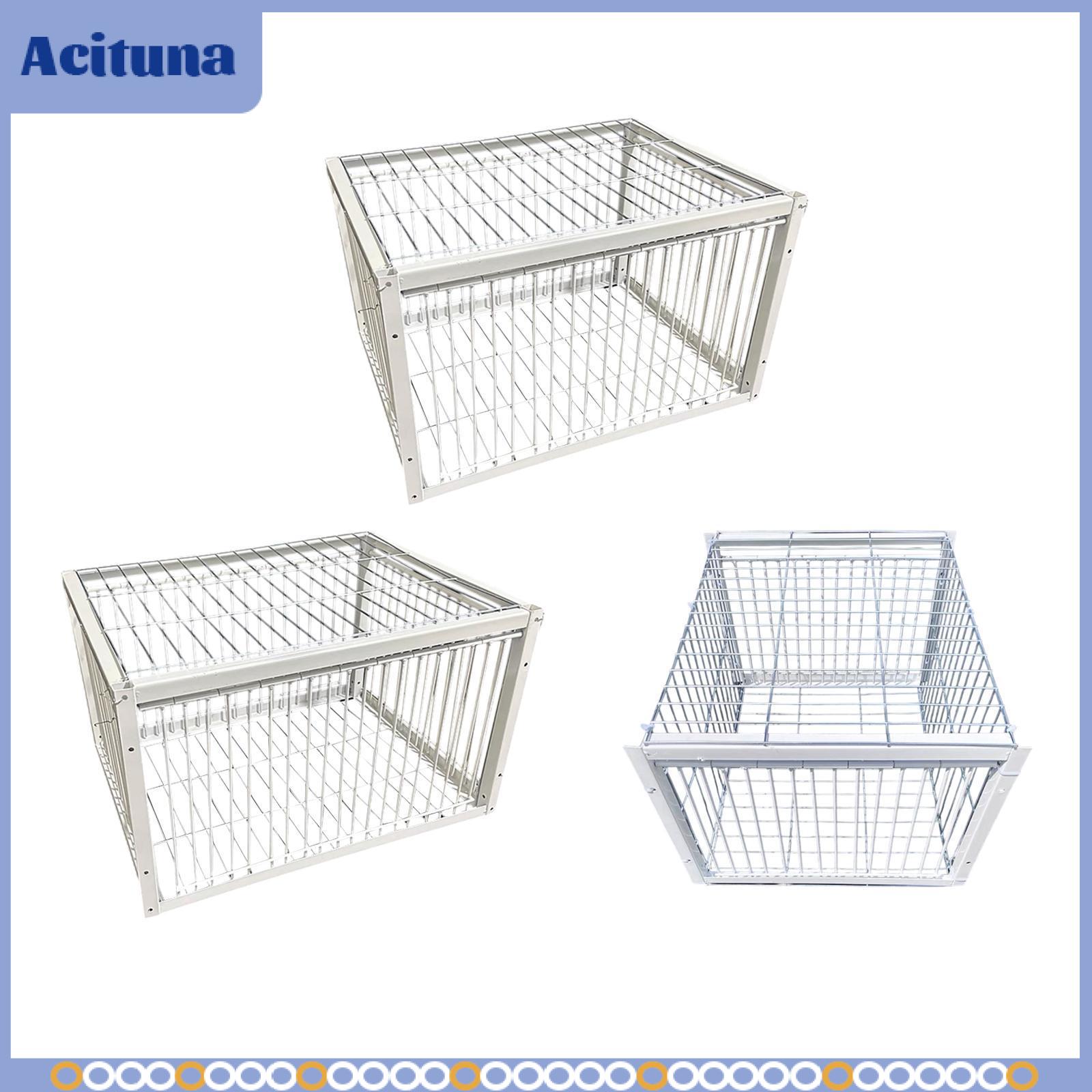 Pigeon Cage Chicken Cage Bird Humane Escaping Resistant Single Way Entry Metal Welding Animal Cage for Parrots Feral Farms ราคา 1,492 บาท*ส่งฟรี