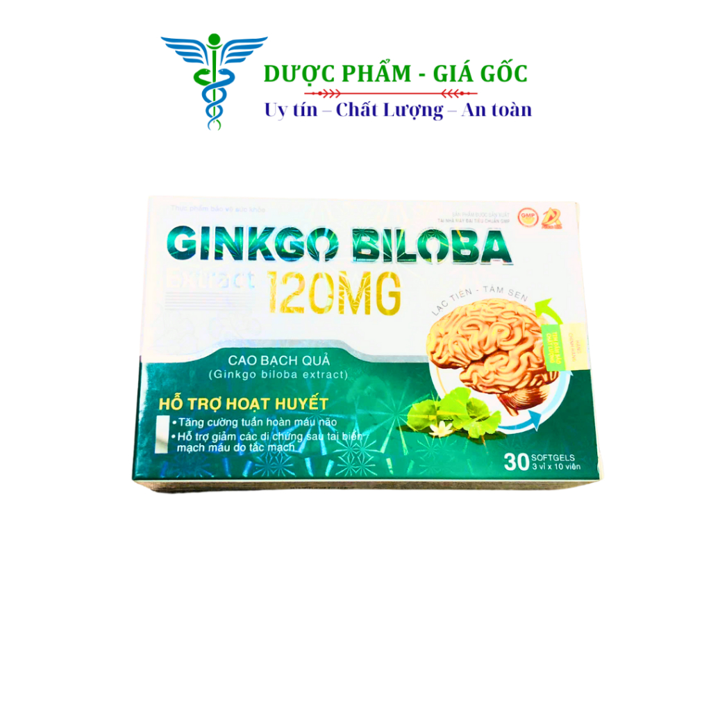 Ginkgo Biloba Extract 120mg Hỗ Trợ Giảm Các Di Chứng Sau Tai Biến Mạch Máu Do Tắc Mạch – Hộp 30 viên