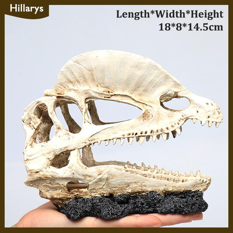 [Hillarys] Mô phỏng nhựa động vật hộp sọ trang trí tự làm bể cá bể cá phụ kiện trang trí sáng tạo hộp sọ cảnh quan bể cá trang trí - 6