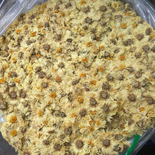 Bông Cúc Khô Dạng Bánh Nấu Sâm phỐ thẢo mỘc