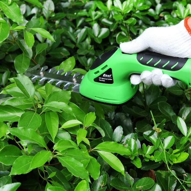 Grass cutter light genshin honey