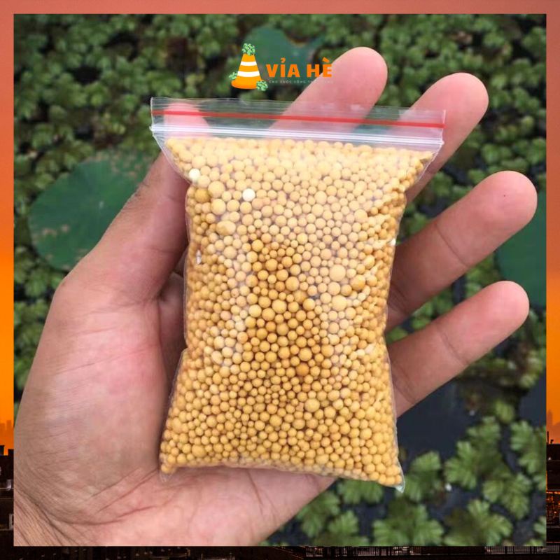 Phân tan chậm thái lan phân vàng Osmocote 14-14-14 túi 100g tiện lợi trồng xương rồng sen đá