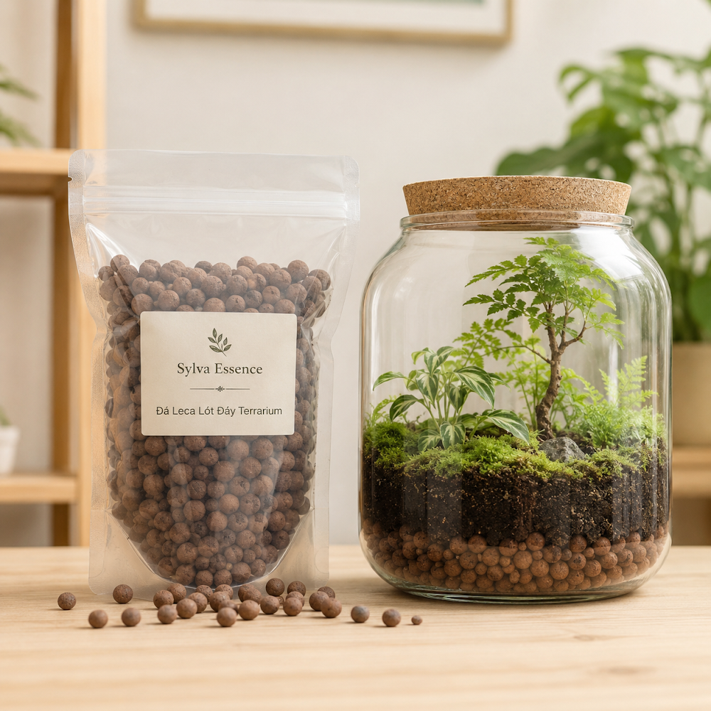 Đá Leca Lót Đáy Terrarium