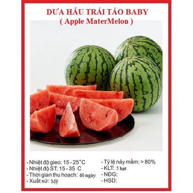 Hạt giống dưa hấu táo baby siêu ngọt (10 hạt) - [MUA 3 TẶNG 1 CÙNG LOẠI] - thơm ngon, năng suất cao