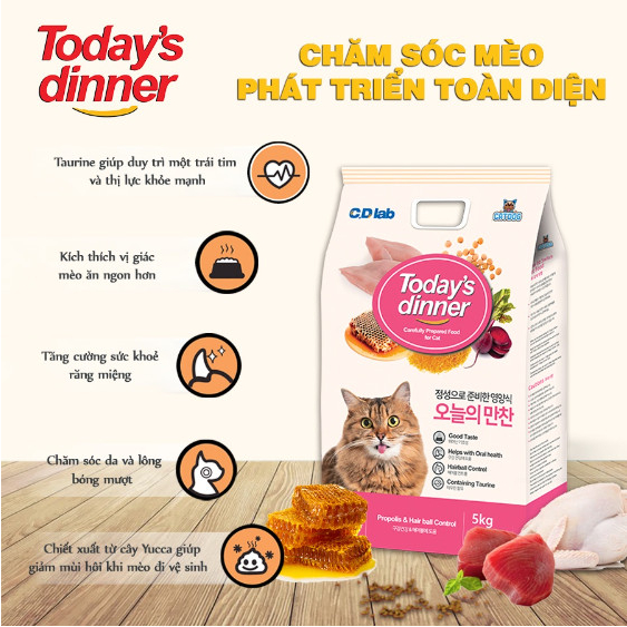 Today's Dinner - Hạt thức ăn cân bằng dinh dưỡng cho mèo mọi lứa tuổi