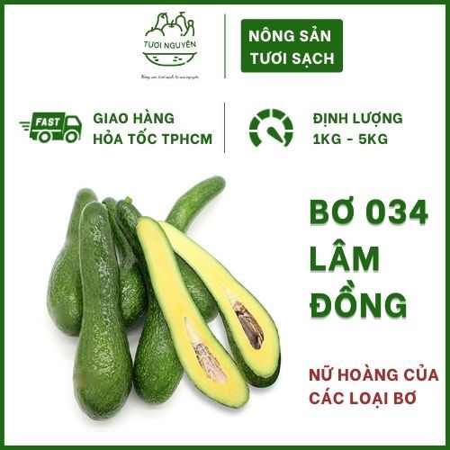 Bơ 034 Lâm Đồng Tươi Nguyên Farm, 1kg bơ sáp 034 nhà trồng, trái già loại lớn, cơm vàng sáp dẻo, giàu dinh dưỡng