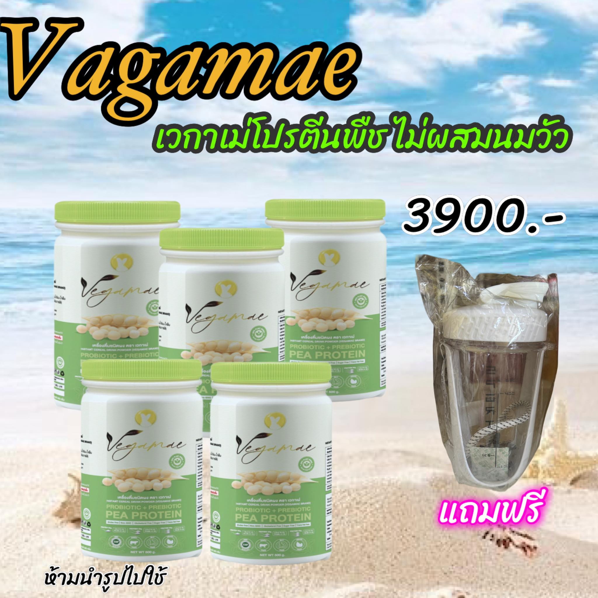 เข้าร่วมโปรแกรมส่งฟรี VEGAMAE ️โปรตีนถั่วลันเตาสีทอง ตรา เวกาเม่ (แบบ 5 กระปุก) ราคา 3,900 บาท*ส่งฟรี