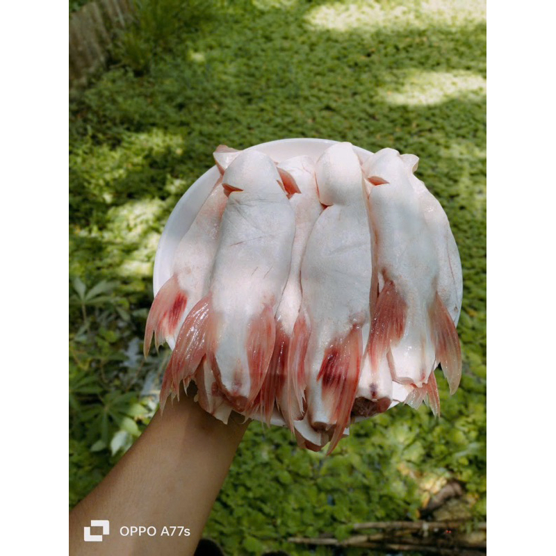 Ức bụng cá basa bịch 1kg