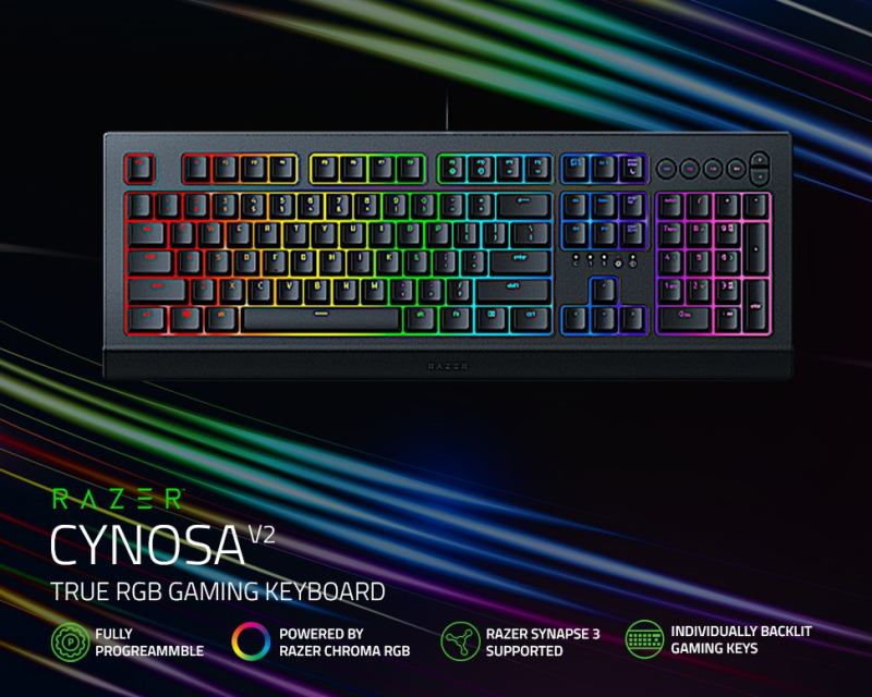 Razer Cynosa V2 Gaming Keyboard: Customizable Chroma RGB Lighting - Individually Backlit Keys Singapore