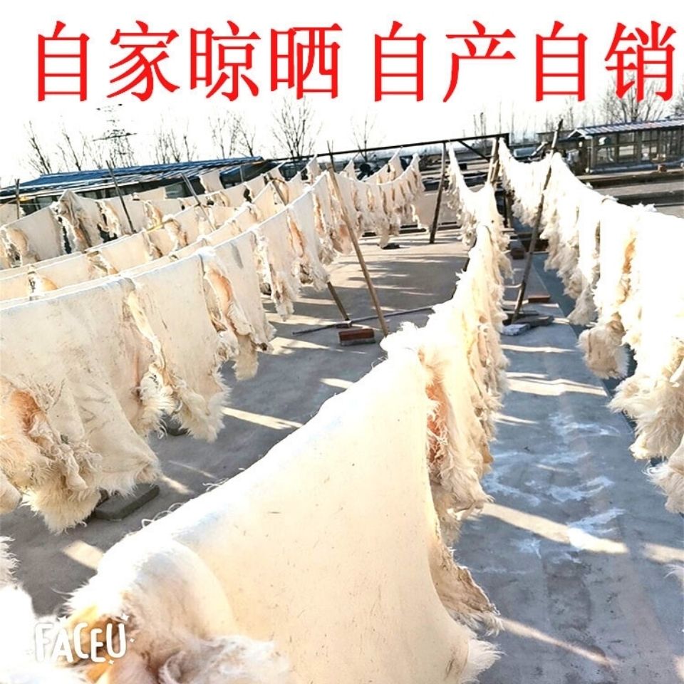 Toàn Bộ Đệm Len Da Cừu Đệm Sofa THẢM LEN Nguyên Chất Thảm Bên Giường Đệm