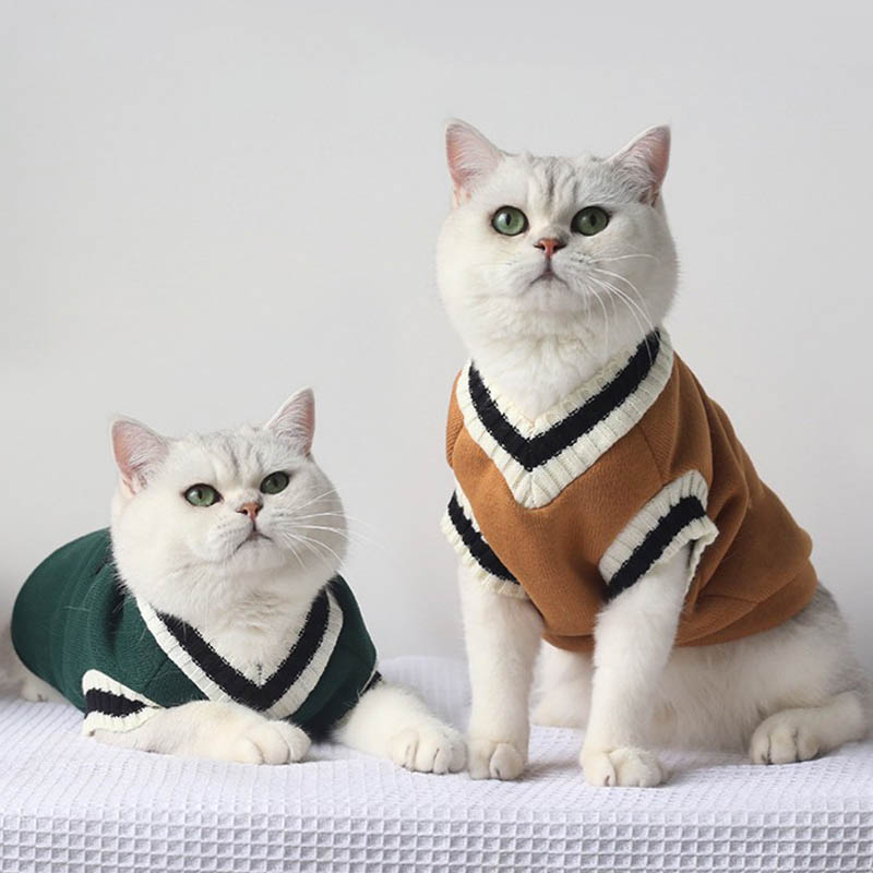 College Style Cat Sweater Winter Warm Cat Clothes for Smal
