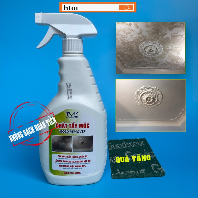 Bình xịt tẩy mốc tường TVS-HT01- 600ml, tẩy mốc các ron cao su chậu rửa, nẹp gỗ, nhà tắm cũ ẩm các khu vực tường ẩm ướt,