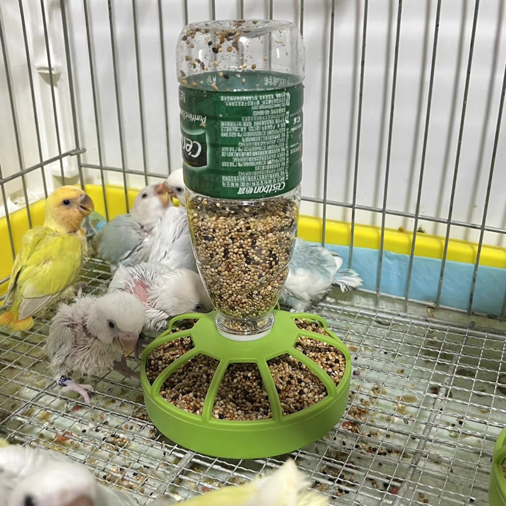 Máng ăn cho gà rutin máng ăn cho chim vẹt máng ăn gà con máng ăn cho chim thả aviary máng ăn chống bới máng ăn chống đổ