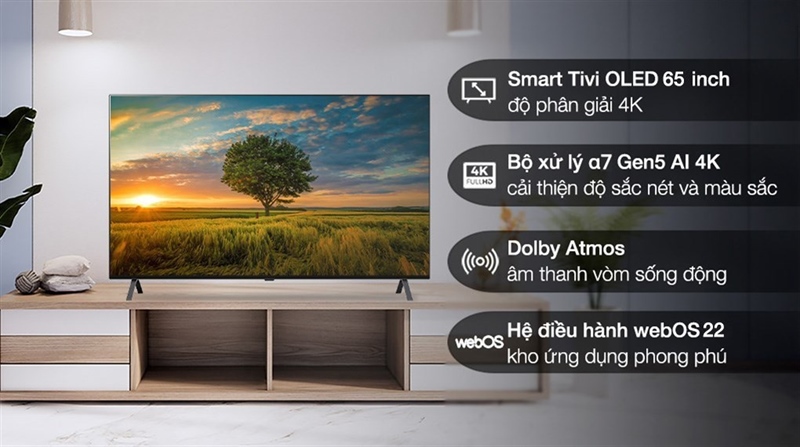 Smart Tivi OLED LG 4K 65 inch 65A2PSA model 2022 - Indonesia