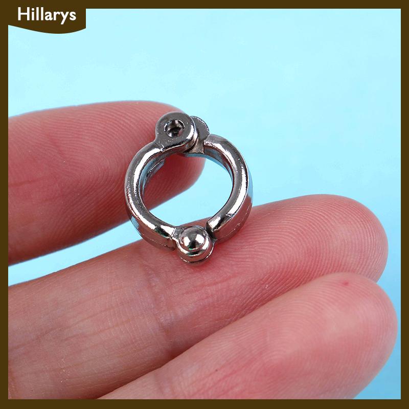[Hillarys] 2 chiếc vòng dây xích huấn luyện chim thú cưng kẹp phụ kiện bay cho vẹt vòng chân chim bồ câu