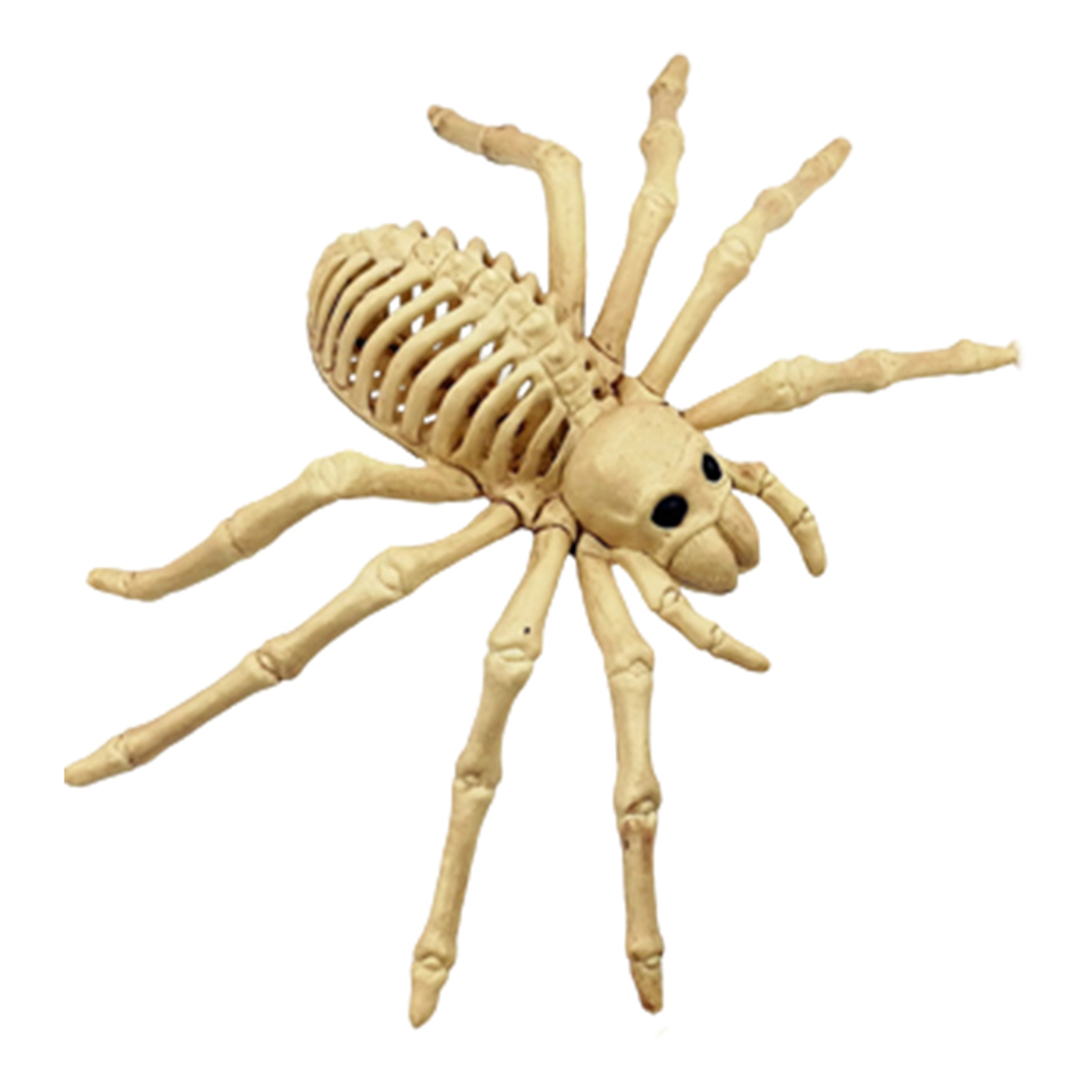 microgood Spider Skeleton Model Realistic Creepy Horror Weather