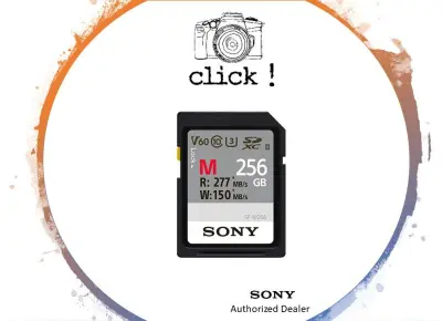 Sony 256GB SF-M/T2 UHS-II SDXC Memory Card / SF-M256