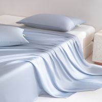 Tencel Cooling Flatsheet Soft Breathable Ice Silk Bedsheet Summer Cool Bed Linen for Bedroom