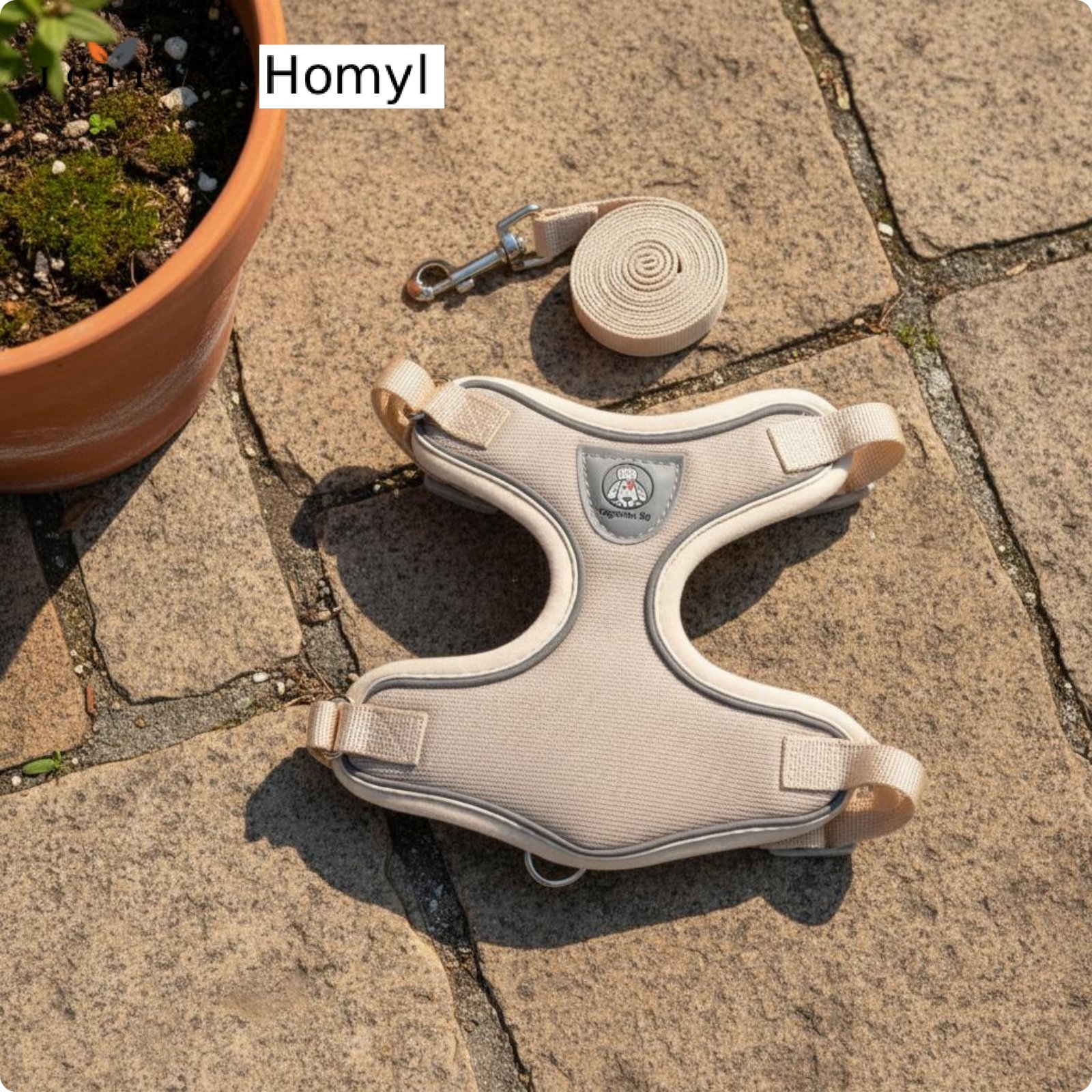 Homyl Cute Dog Harness and Leash Set Burger Design Dog Harness Leash Set Lightweight Lead Strap Adjustable for Young Dogs, Outdoor ราคา 340 บาท*ส่งฟรี