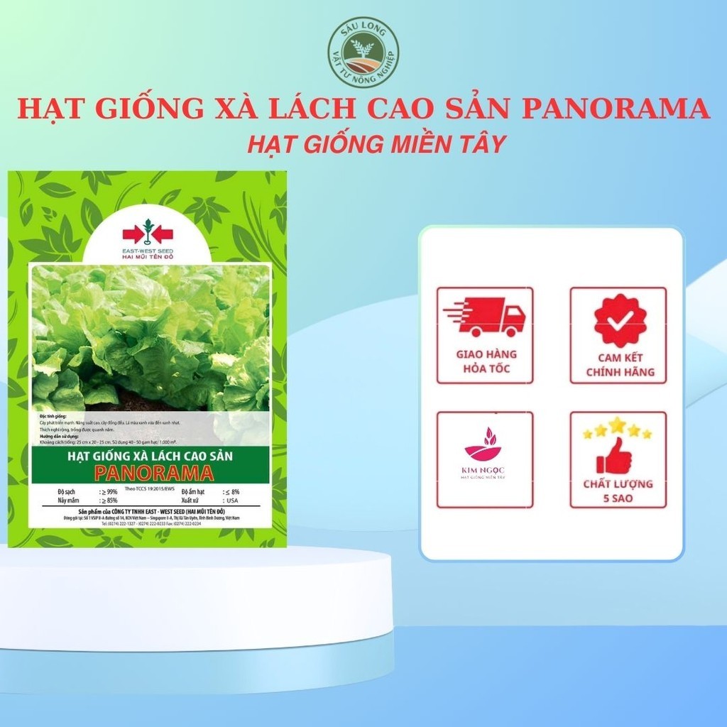 GÓI 1.500 HẠT XÀ LÁCH PANORAMA CỦA EAST-WEST SEED (HAI MŨI TÊN ĐỎ)