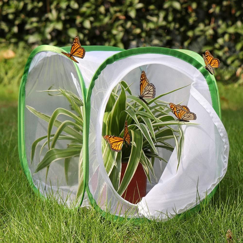 Collapsible Insect Cage Mesh Insect Habitat Cage Mantis
