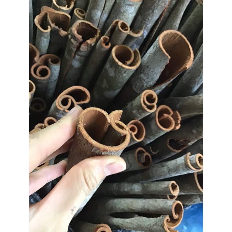 500 gram Quế thanh khô gia vị nấu ăn cực thơm