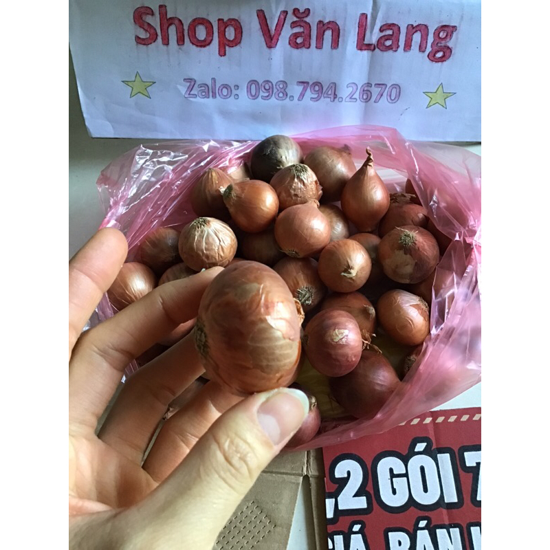 1 kg hành khô một nhánh - hành khô cô đơn thơm ngon - Sỉ Lẻ không giới hạn