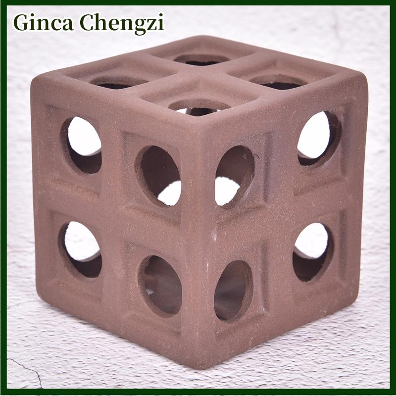Ginca Bể cá sinh sản hang động nơi trú ẩn ống cho tôm đẻ trứng sống thực vật Cá - 5