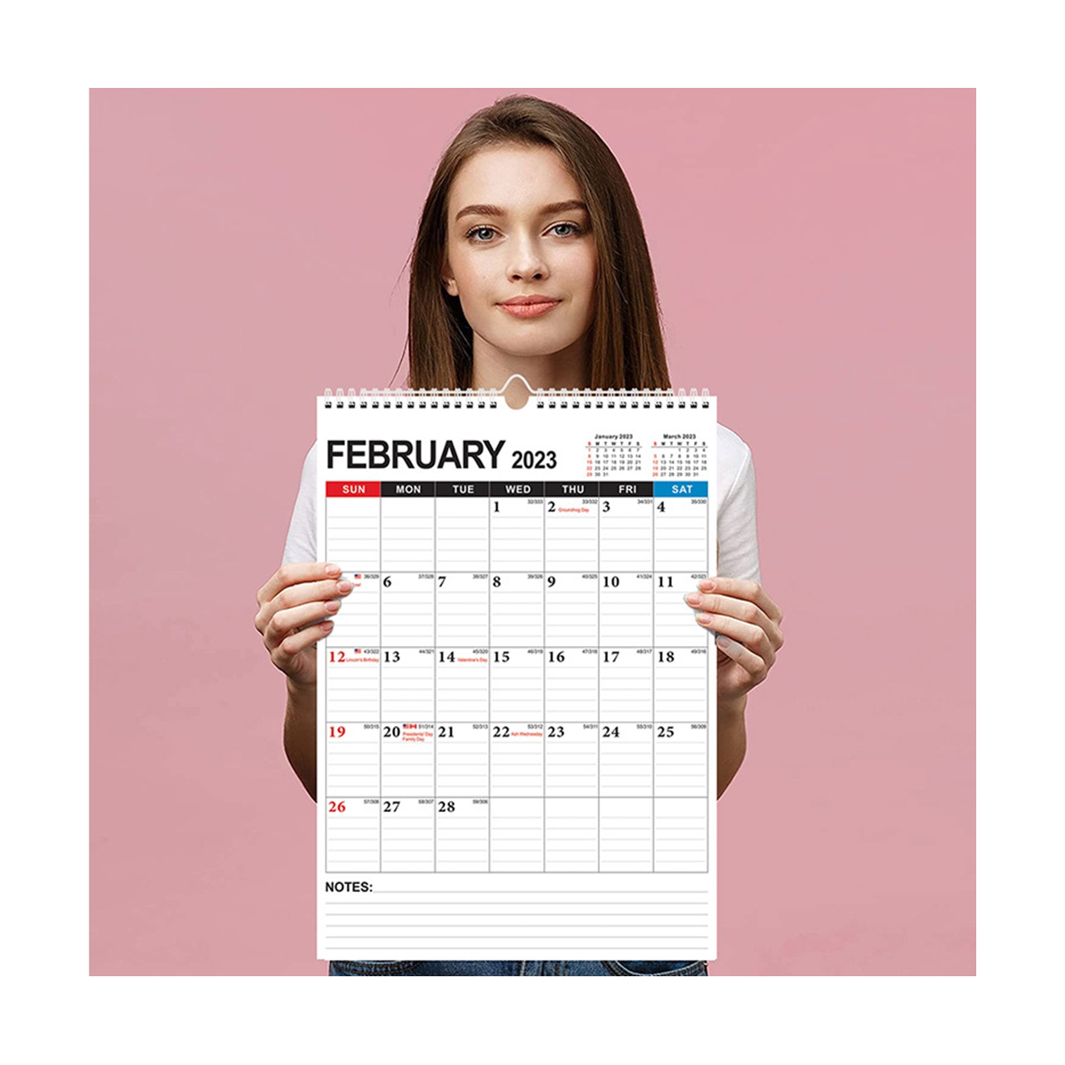 Calendar - Monthly Wall Calendar Planner From Jan 2023 - June 2024, 12 Inch x 17 Inch , Twin-Wire Binding, Ruled Space