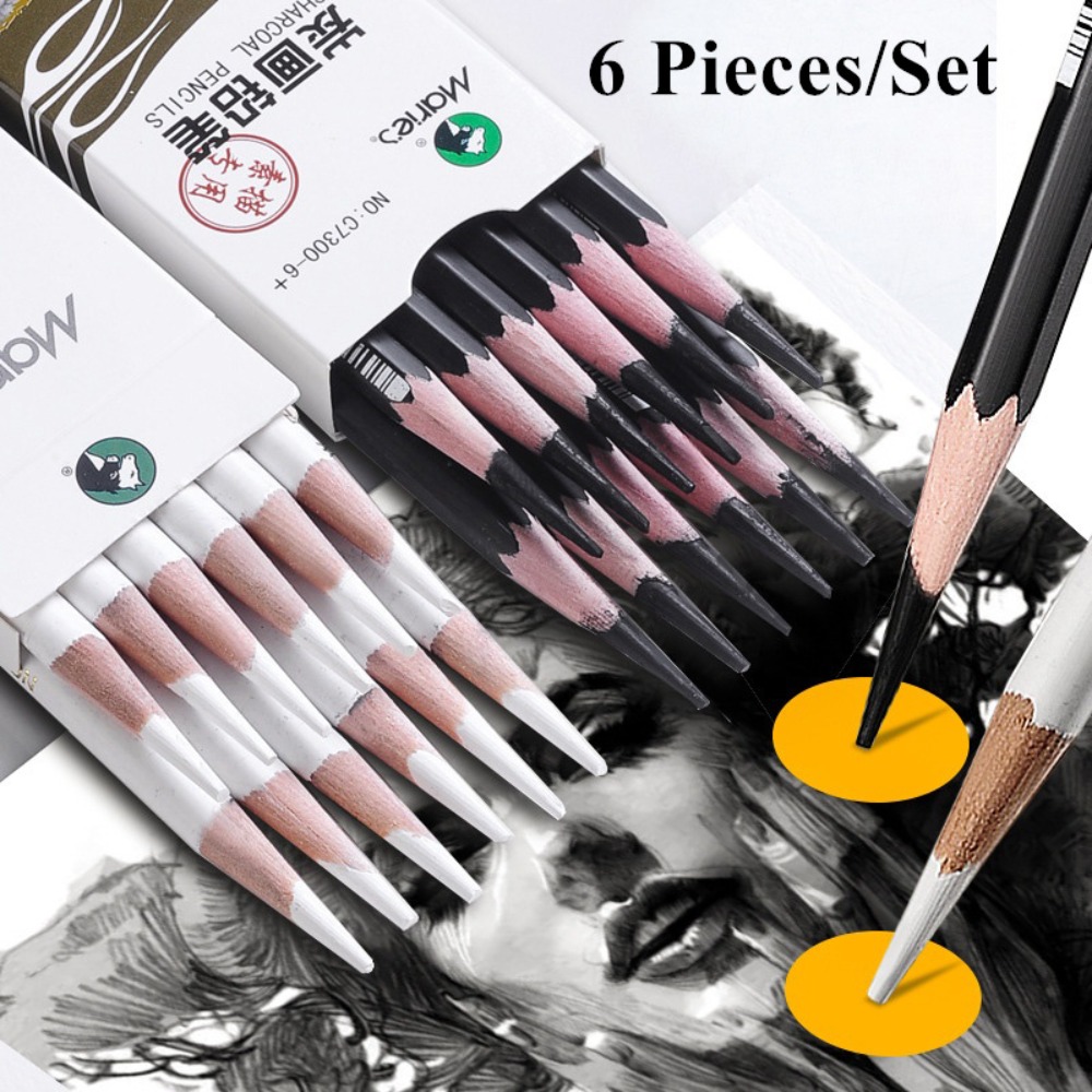 25x Vine Charcoal Pencils Drawing Sketching Willow Charcoal Sticks Art  Supplies for Artists Adults Teens Beginner Gift 