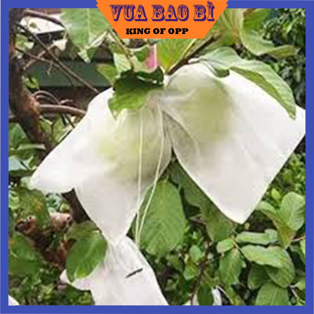  100 Túi 14x16cm Túi Bọc Trái Cây Ổi Xoài Na Dưa To Có Dây Buộc - VUA BAO BÌ 