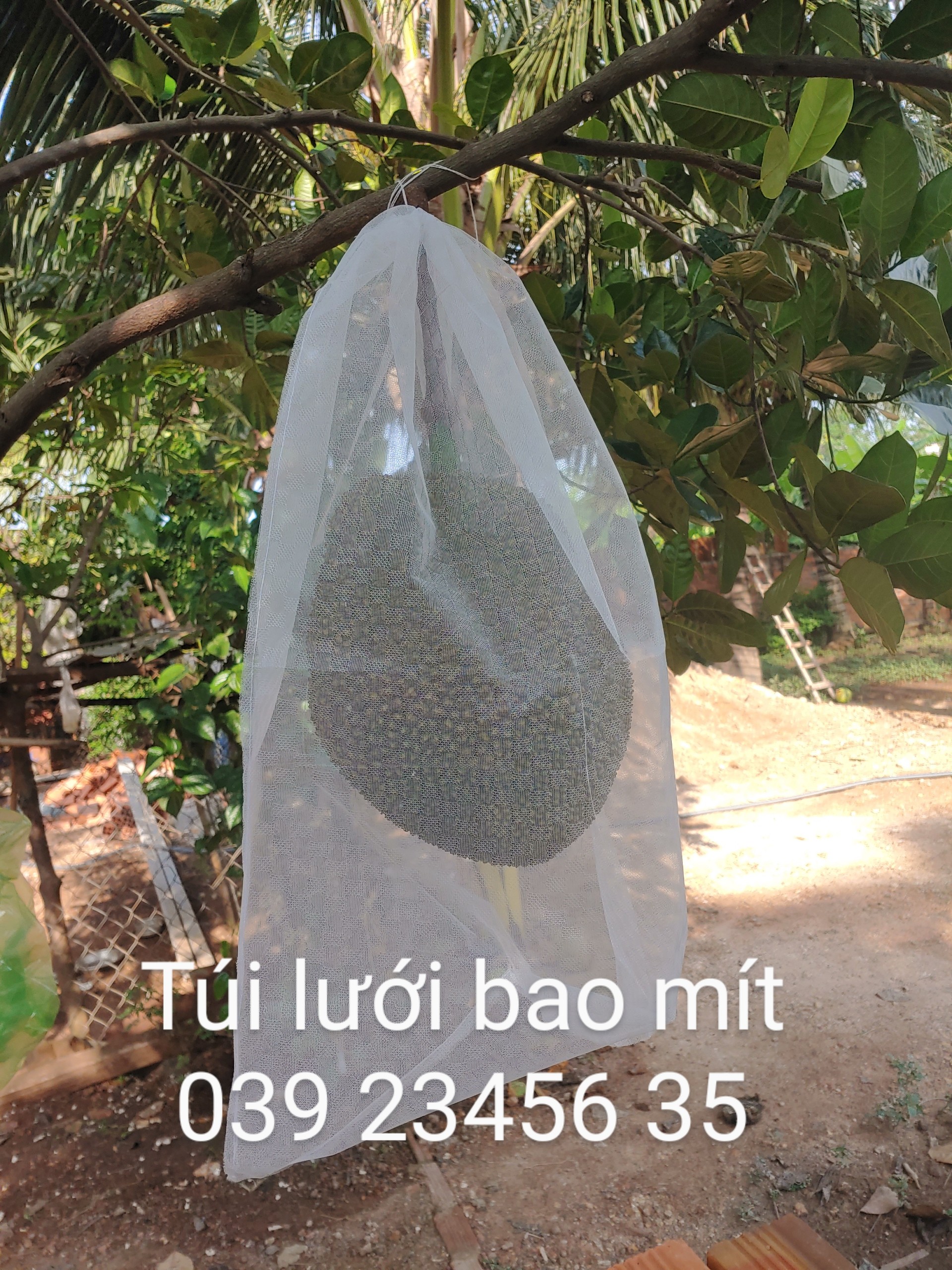 Túi Mới  100 Cái Túi Bao Bọc Mít Thái Kích Thước 50x70cm Chống Sâu Bệnh