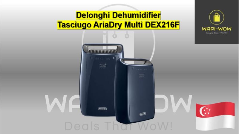 Delonghi Dehumidifier Singapore