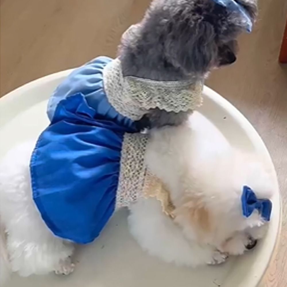 EMERRY Ren Váy denim ren cho thú cưng Mềm mại Thoáng khí Áo vest mùa hè cho chó Thời trang Thoải mái Quần áo thú cưng Chó con