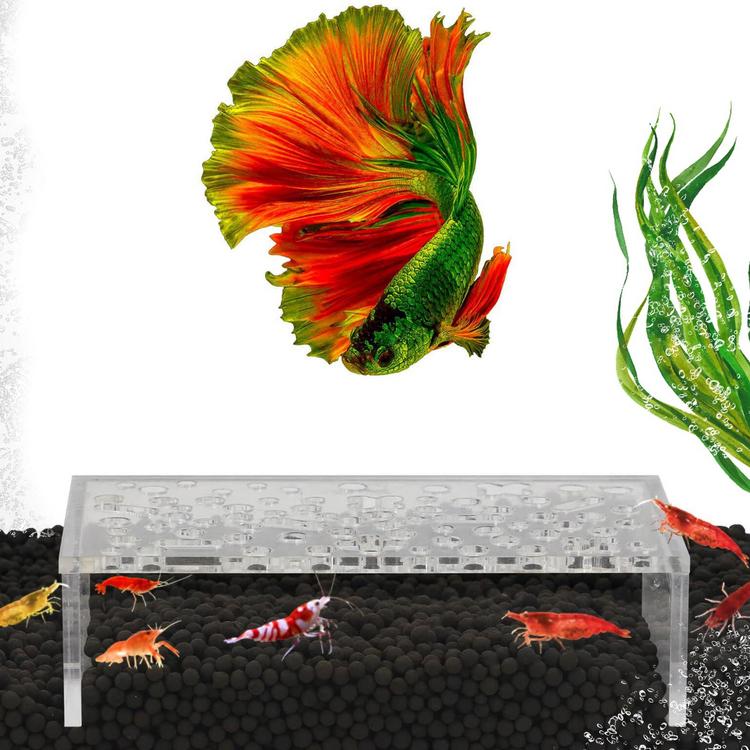 Tôm Ẩn Hang Tôm Hang Tôm Nuôi Tôm Acrylic Đường Hầm Tôm Trang trí bể nuôi tôm hang động trong suốt đường hầm bể cá để nuôi tôm functional