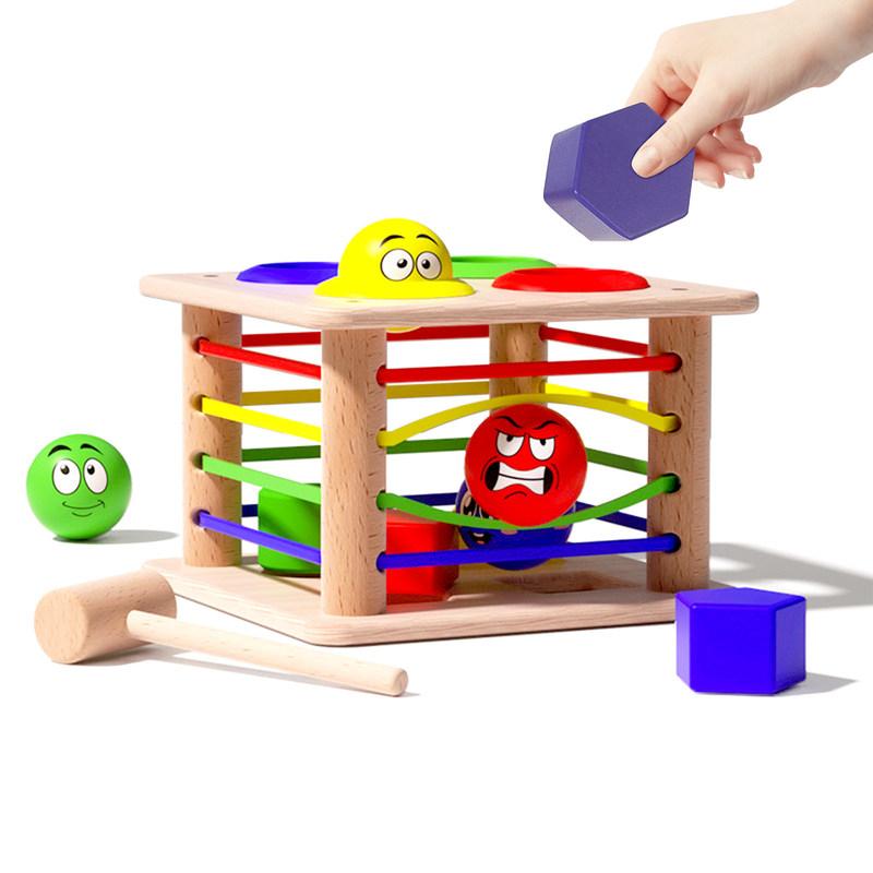 Ilada sức khỏe bằng gỗ xếp hình đồ chơi Montessori cảm giác phân loại bin