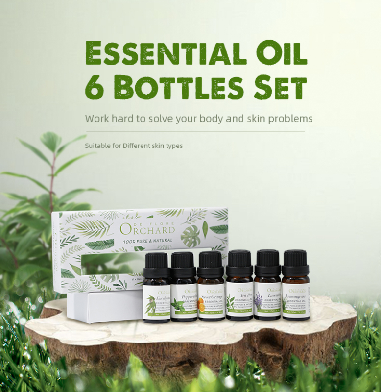 Buy Ode Flore Set of 6 Essential oil (Lavender,Eucalyptus,Sweet orange,Lemongrass,Peppermint,Tea tree) Organic Aromatherapy Singapore
