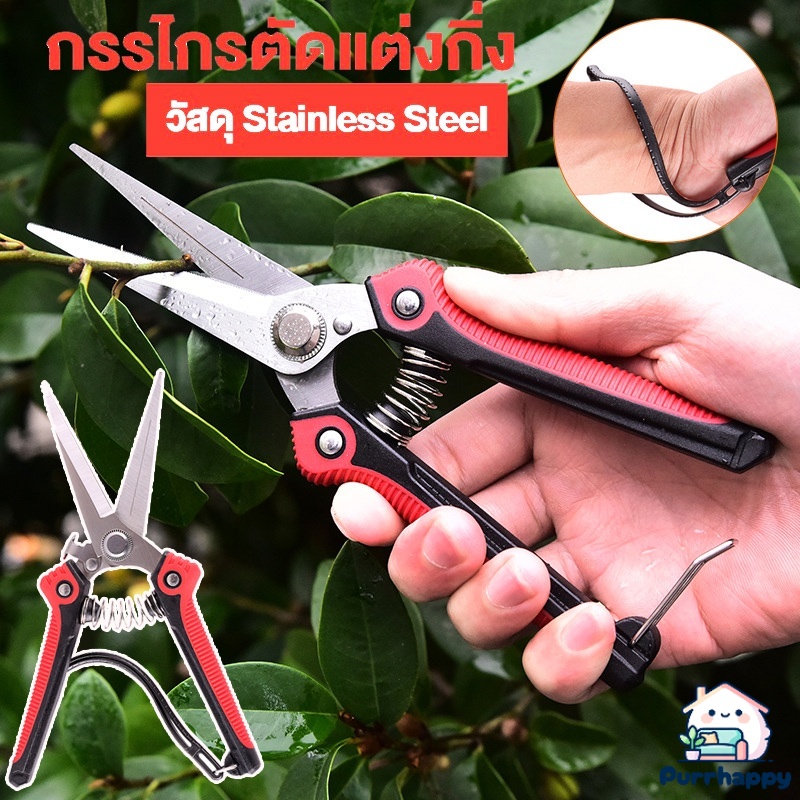 Purrhappy คีมตัดกิ่งไม้ กรรไกรตัดกิ่ง กรรไกรสแตนเลส ปลายแหลม เก็บผลไม้ ปลายแหลม เครื่องมือจัดทำสวน ราคา 60 บาท*ส่งฟรี