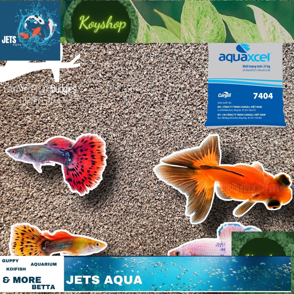 1kg Cám Cá Cargill 7404 size S - thức ăn Cá Cảnh: Bảy Màu • Ba Đuôi • Betta • Cá Vàng...