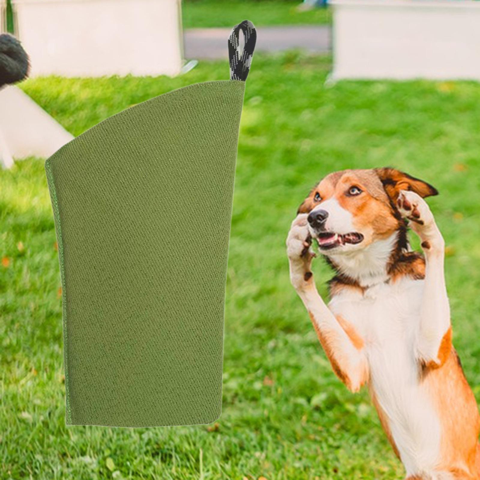 Meowhouse Dog Training Arm Sleeve Interactive Tug Toy for Work Dog Puppy Playing Giá  422,759 Đồng*Miễn phí vận chuyển