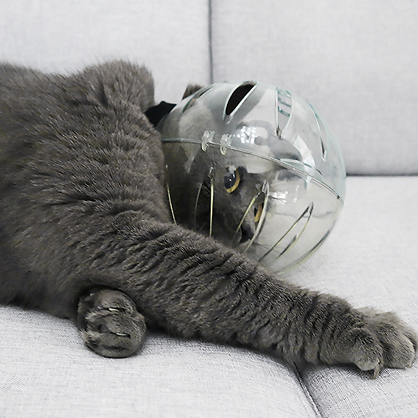 Mũ che đầu mèo trong suốt với chất liệu thoáng khí Mũ bảo hiểm chống cắn cho mèo thích hợp để phục hồi điều trị Tấm che đầu không gian cho mèo Bịt miệng chống liếm, chống cắn NH-VN Giá 333,000 Đồng*Miễn phí vận chuyển