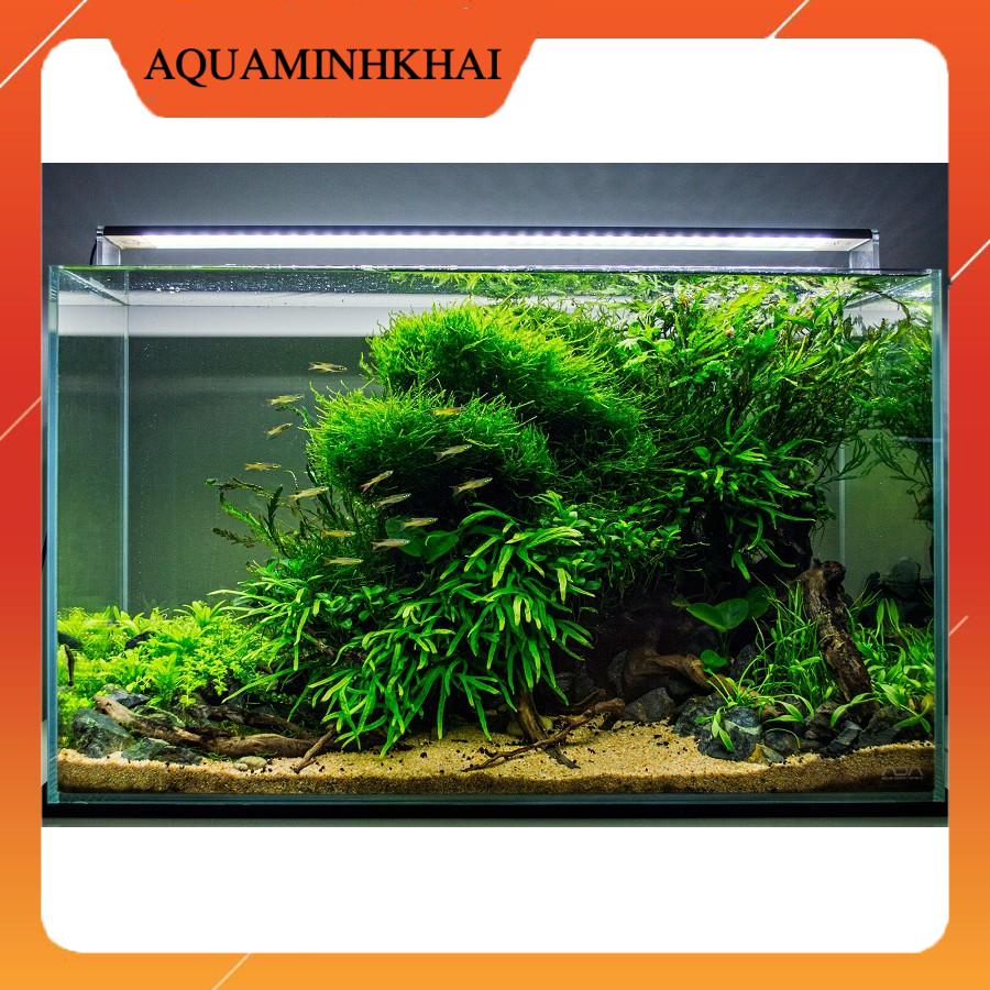 1kg Cát nắng vàng trang trí bể cá cảnh, bể thủy sinh