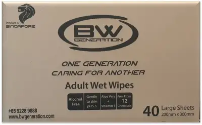 Adult Wet Wipes Large 40s/pk x 12 pk/1 ctn