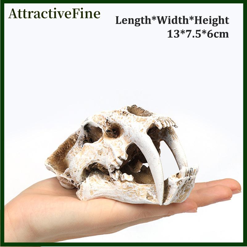 AttractiveFine Mô phỏng nhựa động vật hộp sọ trang trí tự làm bể cá bể cá phụ kiện trang trí sáng tạo hộp sọ cảnh quan bể cá trang trí - 3
