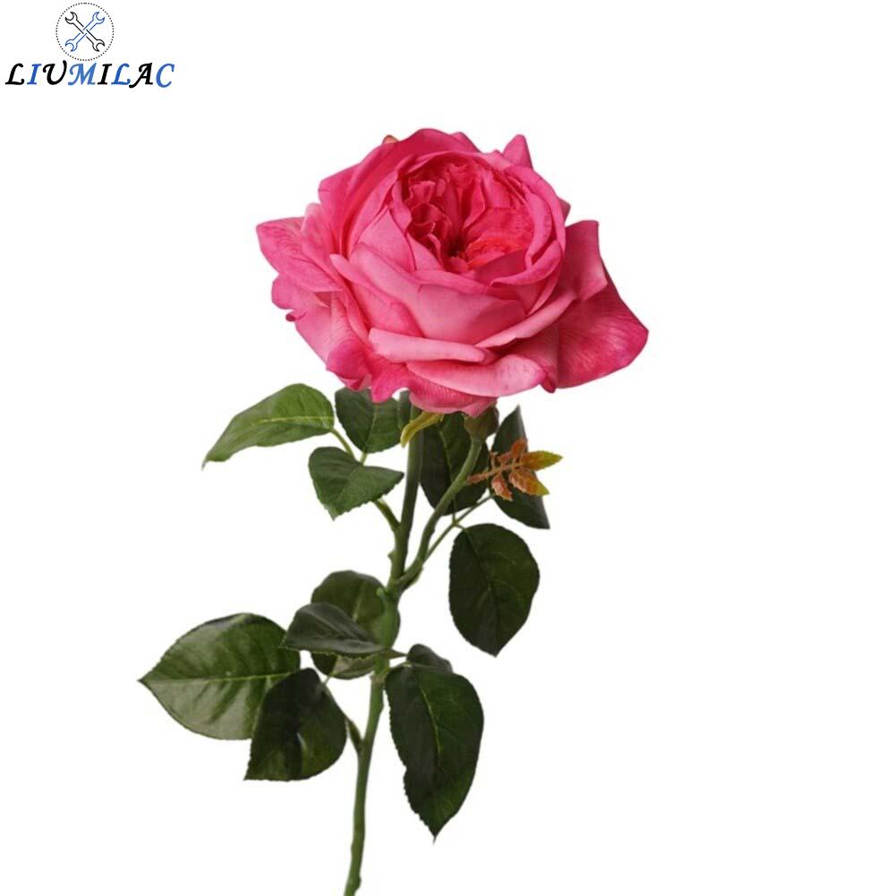 LIUMILAC 6-Piece Set Artificial Roses Faux Flower Set Realistic Appearance Home Ambiance ราคา 1,841 บาท*ส่งฟรี