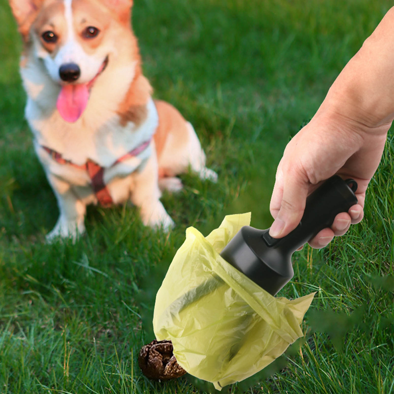 Phân Chó scooper Claw poop scooper thân thiện với môi trường cho đi bộ một con chó