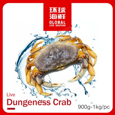 Live Dungeness Crab (900g-1kg)