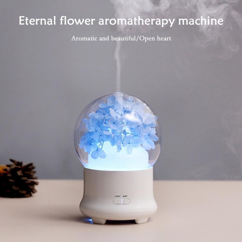 jiaxiang Ultrasonic Aromatherapy Essential Oil Diffuser Aroma Diffuser Cool Mist Humidifier Preserved Fresh Flower-UK PLUG - intl Singapore