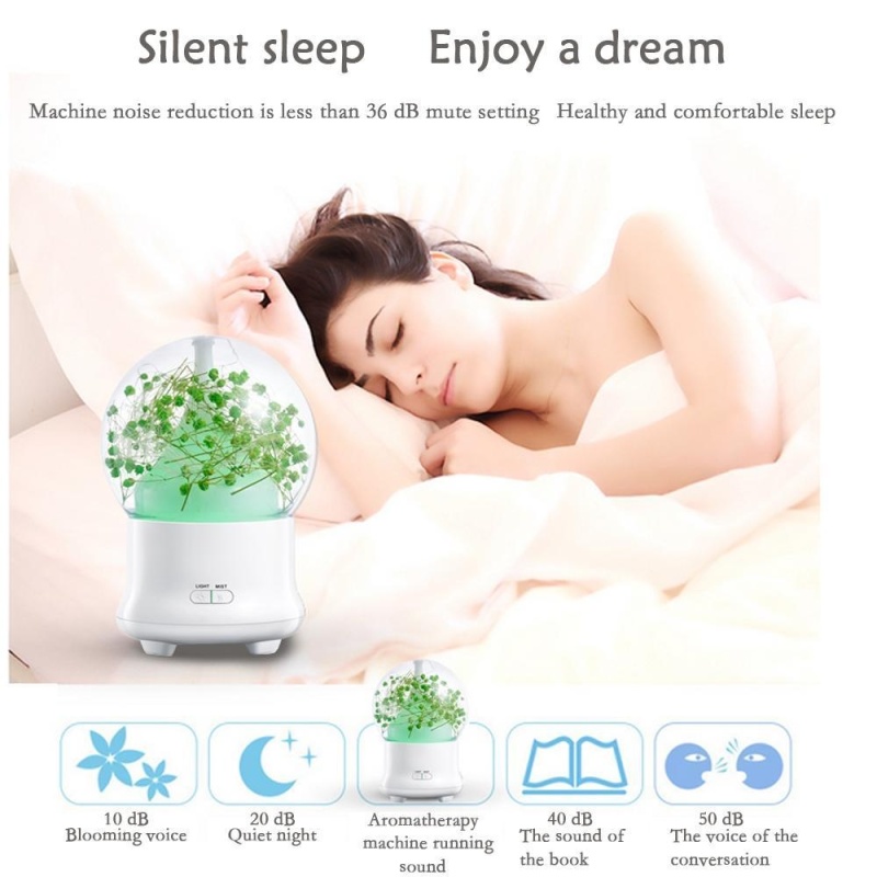 ninror Ultrasonic Aromatherapy Essential Oil Diffuser Aroma Diffuser Cool Mist Humidifier Preserved Fresh Flower-UK PLUG - intl Singapore